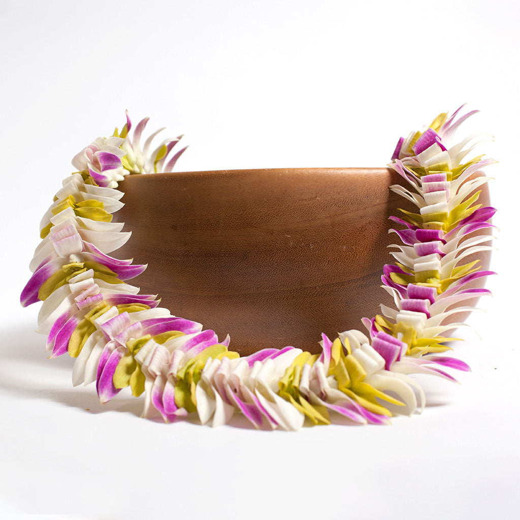 Butterfly-style lei made with mixed color orchid flowers