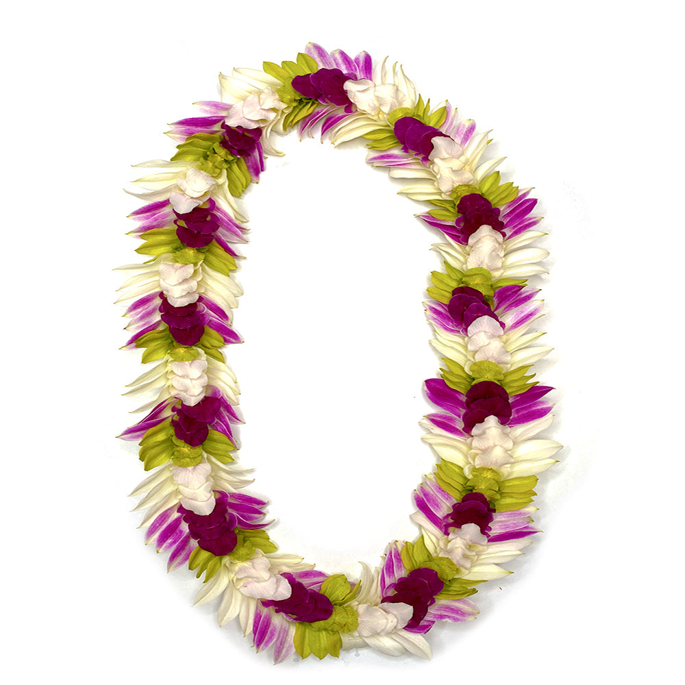 Indiana-style lei with mixed white, purple, and green orchids