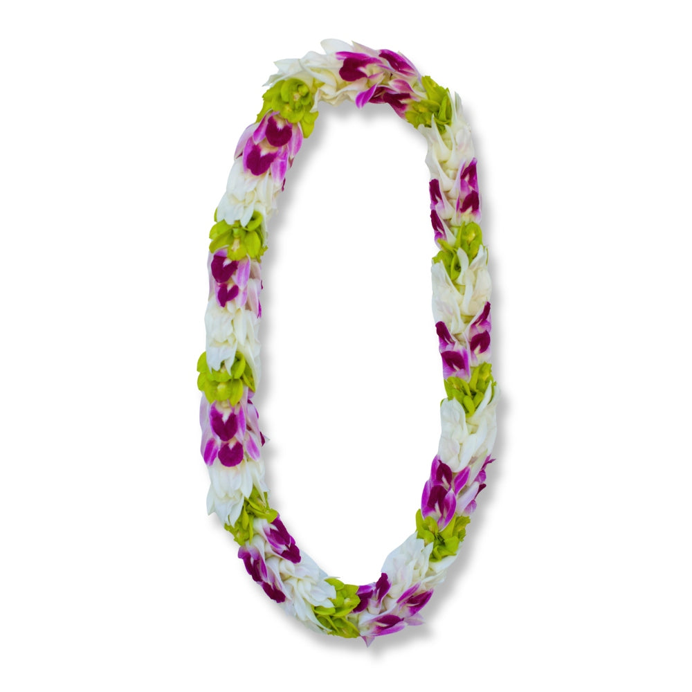 Pikki-style lei with mixed white, green, and purple orchids