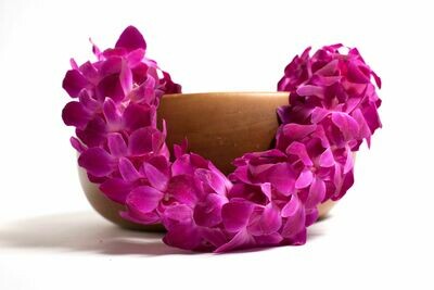 GRADUATION LEI 2 PACK - MAILE TI LEAF STYLE WITH ORCHID LEI WRAP & DOUBLE DYED ORCHID LEI