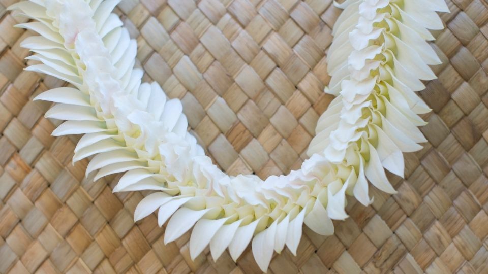 All About Hawaiian Leis