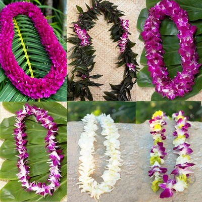 GRADUATION LEI - OHANA PACK 15 LEI WITH FREE SHIPPING