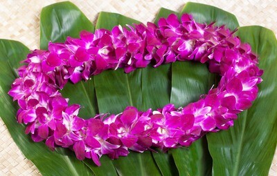 double strand orchid lei