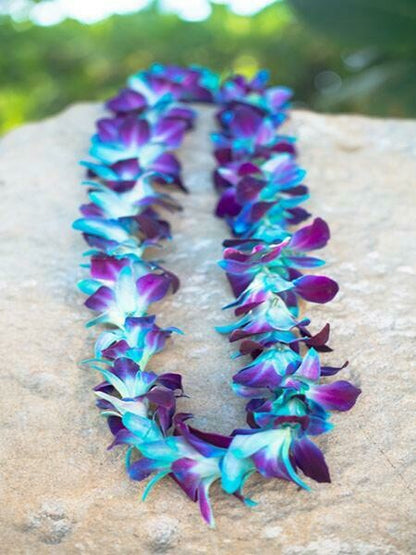 Single strand dyed orchid lei in vibrant color options 
