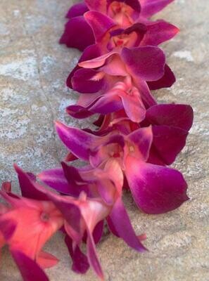 Single strand dyed orchid lei in vibrant color options 
