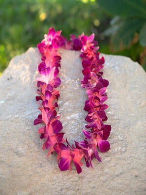 Single strand dyed orchid lei in vibrant color options 
