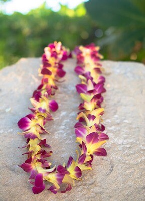 Single strand dyed orchid lei in vibrant color options