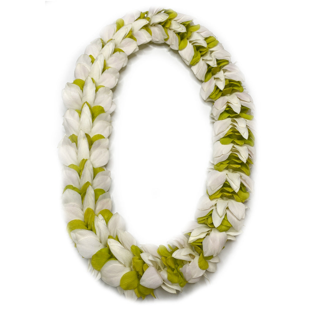 Mixed color Feather lei accented with multi colored flowers showcasing a feathered pattern