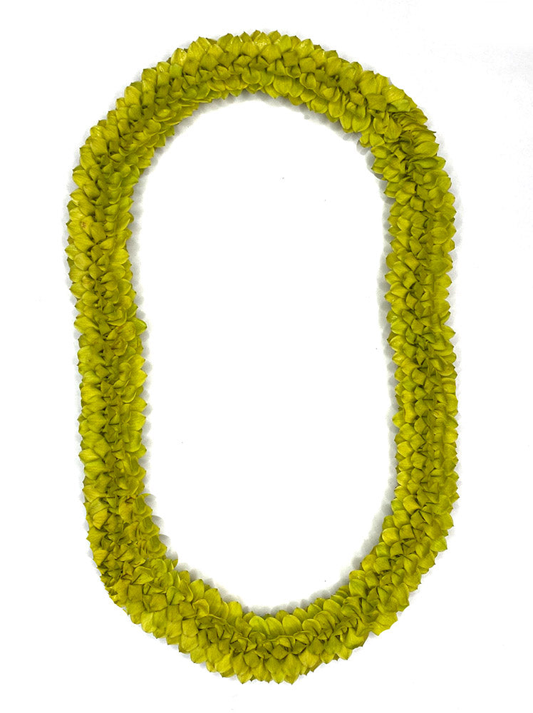 Green Fancy lei arranged in a spiral design