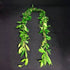 Classic Hawaiian maile lei symbolizing respect and honor