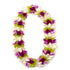 Indiana-style lei with mixed white, purple, and green orchids