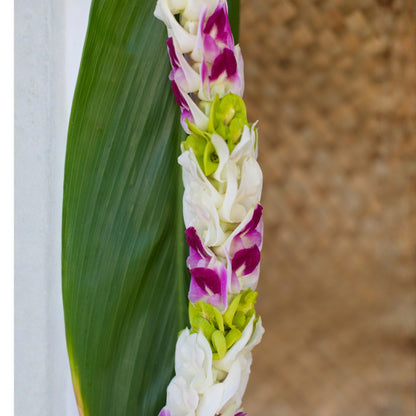 Pikki-style lei with a pattern of white, green, and purple orchids