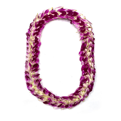 Purple orchid Fancy pikki-style lei with clustered blossoms