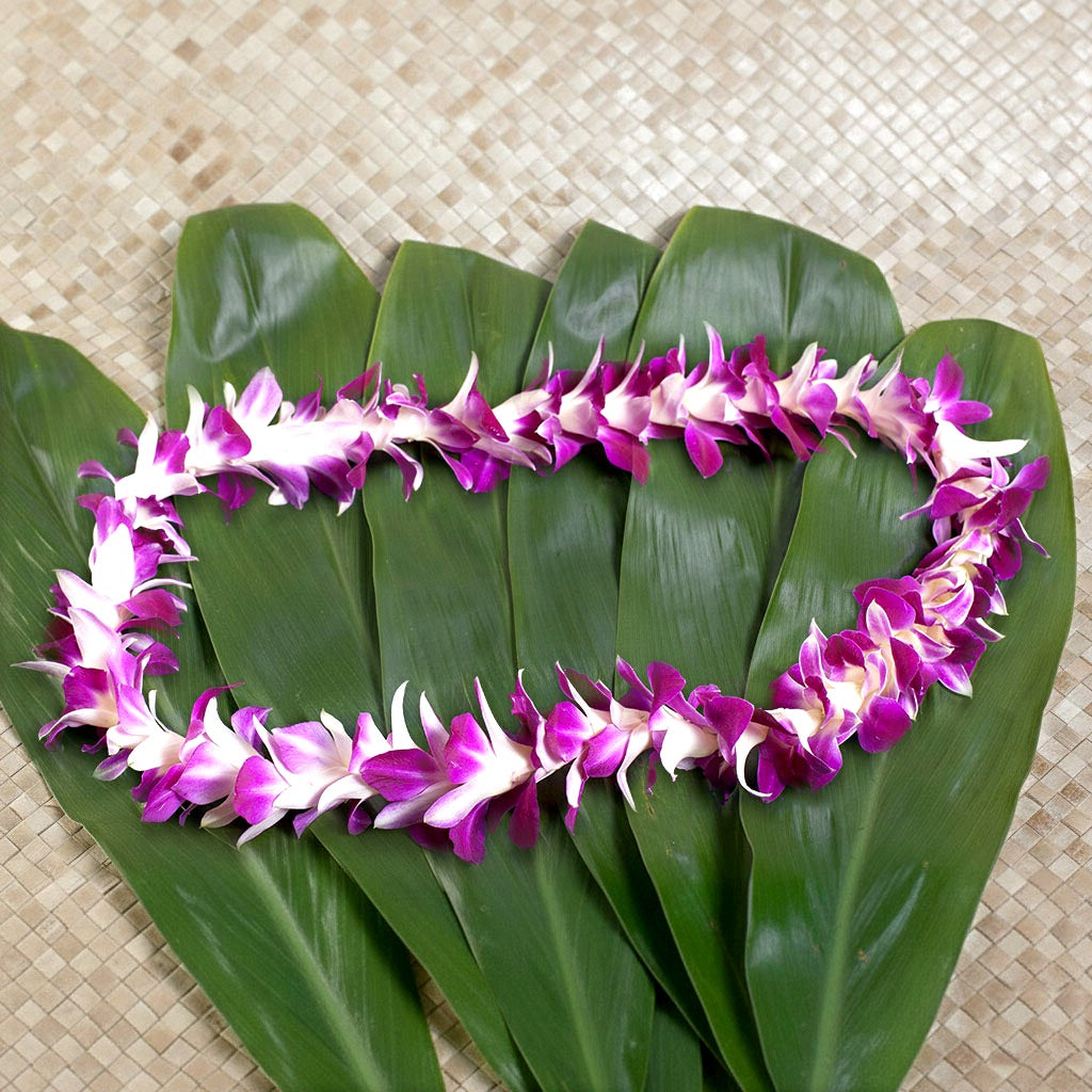 Mix & Match 3 Pack Fresh Orchid Leis| Buy Hawaiian Lei