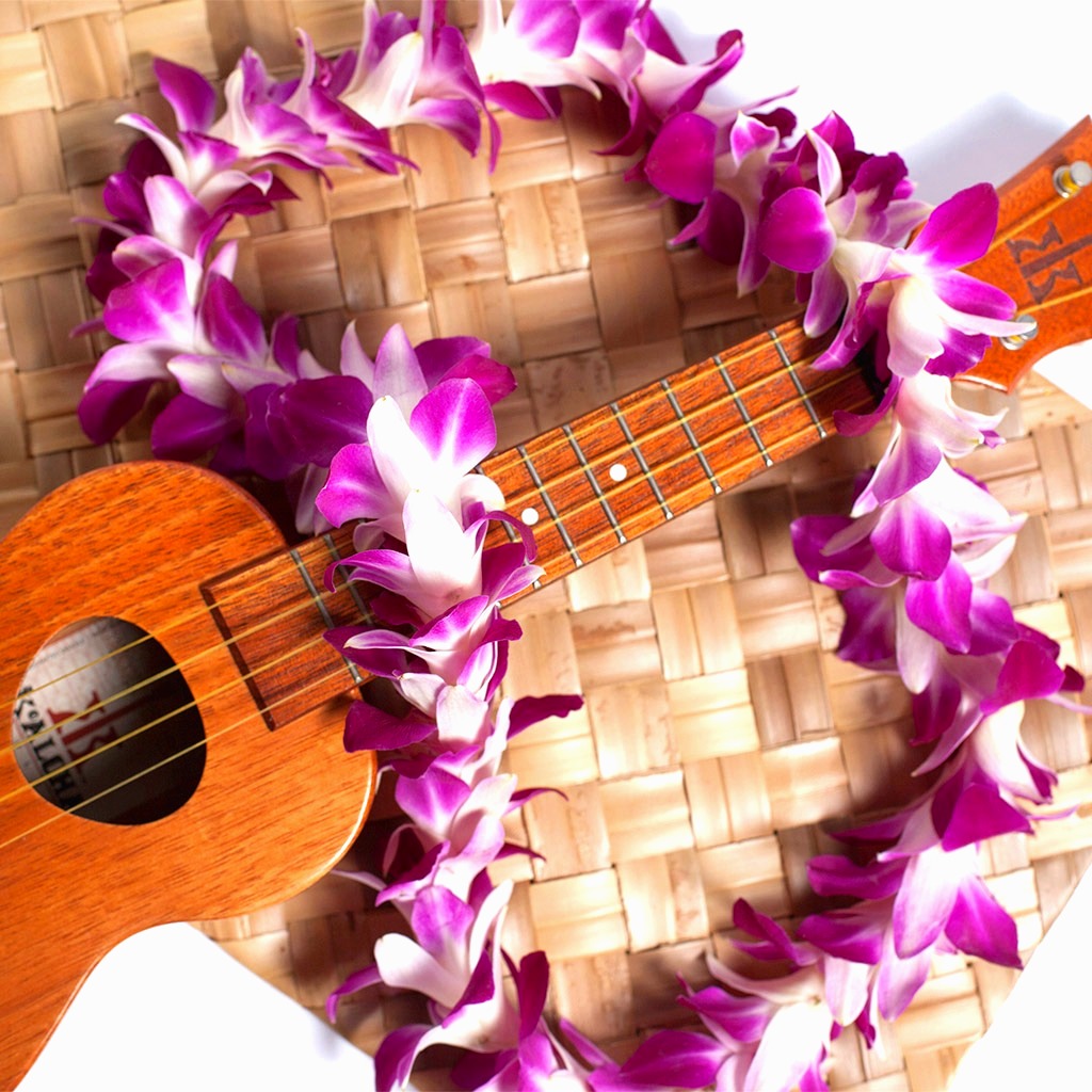 Fresh Dendrobium Orchid Leis - Wholesale Hawaiian Quality