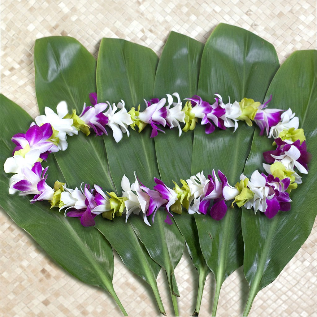 MIXED COLOR ORCHID SINGLE LEI MULTI-PACK - WHITE + GREEN + PURPLE