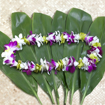 MIXED COLOR ORCHID SINGLE LEI MULTI-PACK - WHITE + GREEN + PURPLE