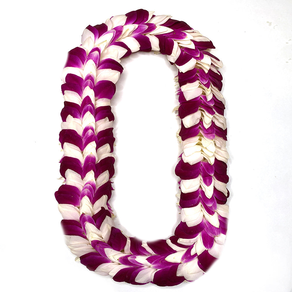 MIXED COLOR ORCHID FEATHER LEI