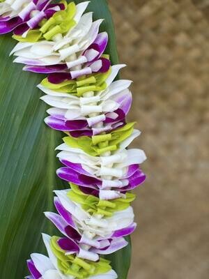 Alana Fancy lei featuring mixed white, green, and purple orchids