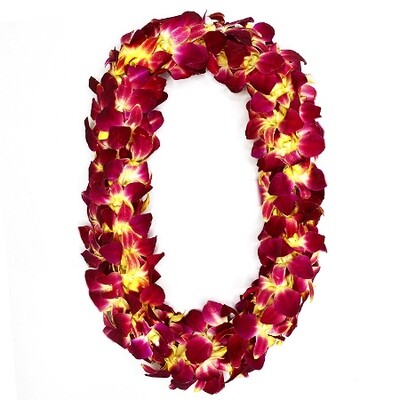 GRADUATION LEI 2 PACK - MAILE TI LEAF STYLE WITH ORCHID LEI WRAP &amp; DOUBLE DYED ORCHID LEI