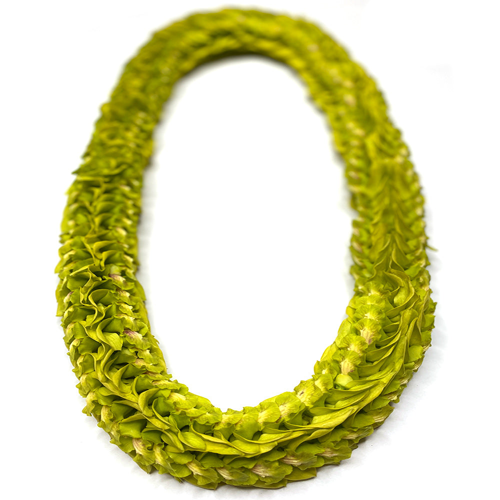 Green orchid pikki-style lei with clustered flowers