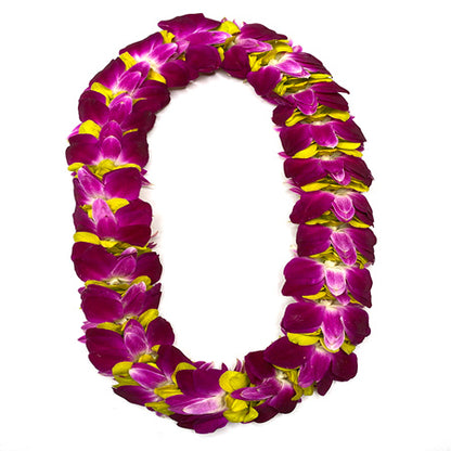 MIXED COLOR ORCHID FEATHER LEI
