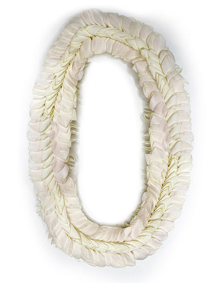 White orchid fancy lei accented with white orchids in a feather like pattern